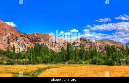 Blick auf Leh City, grüne Landschaft mit Himalaya-Berggipfeln, blauer Himmel im Hintergrund, Ladakh, Jammu und Kaschmir, Indien Stockfoto