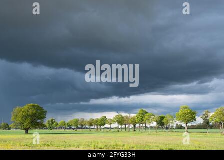 Sturmwolken über dem Schilfufer des Sees Stockfoto