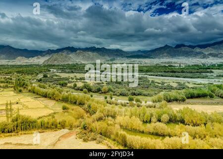 Luftaufnahme von Leh City, grüne Landschaft mit Eisspitzen, blauer Himmel mit Wolken im Hintergrund, Ladakh, Jammu und Kaschmir, Indien. Stockfoto