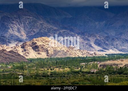 Luftaufnahme von Leh City, grüne Landschaft mit Himalaya-Berggipfeln, blauer Himmel im Hintergrund, Ladakh, Jammu und Kaschmir, Indien Stockfoto