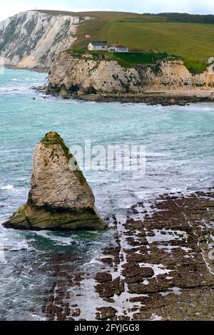 Wellenschnitt-Plattform, Meer, Stapel, Süßwasserbucht, Tennyson Down, Isle of Wight, England, Großbritannien, Stockfoto