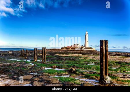 Der Leuchtturm auf St. Mary’s Island, Whitley Bay Stockfoto