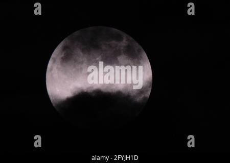 Blütenblut-Vollmond im Mai kurz vor dem Mond eclipse und vorbeiziehende Wolken Stockfoto