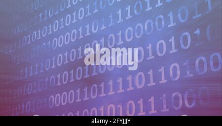 Zusammensetzung der binären Codierungsverarbeitung auf violettem Hintergrund Stockfoto