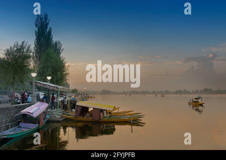 SHREE NAGAR, JAMMU UND KASHMIR, INDIEN - 31. AUGUST 2014 : schöner Dal See nach Sonnenuntergang, Hausboote schwimmend auf dem Wasser mit Abendhimmel im Hintergrund Stockfoto