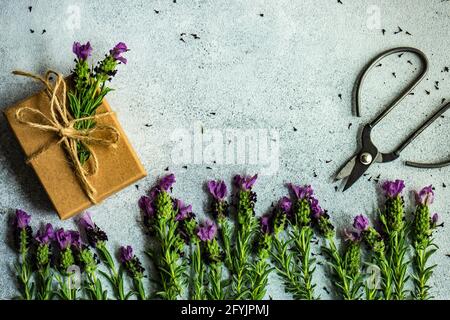 Verpackte Geschenkbox mit frischen Lavendelblüten dekoriert Stockfoto