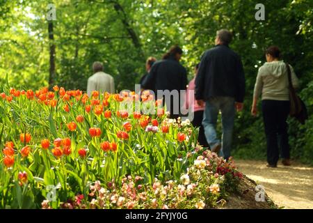 Pralormo, Piemont, Italien. -04-25-2009-Messer Tulipano Gartenbau Ausstellung mit Frühling Tulpen blühen in Pralormo Schloss. Stockfoto