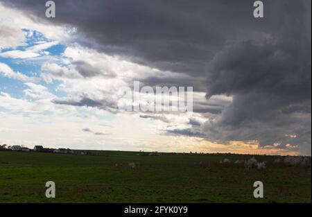 Hintergrund von dunkelweißen Wolken vor einem Gewitter und Regen, über grünen Bäumen. Stockfoto