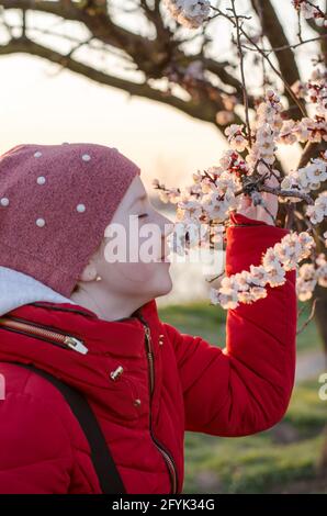 Ein 10-jähriges Mädchen schnuppert die Blumen eines Aprikosenbaums. Teenager-Mädchen genießen den Duft von Frühlingsblumen Stockfoto