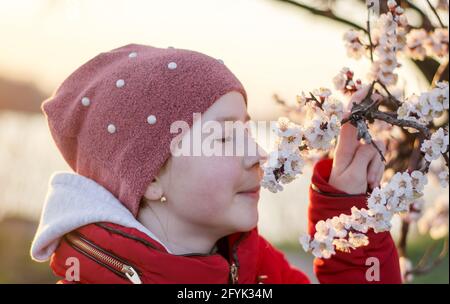 Ein 10-jähriges Mädchen schnuppert die Blumen eines Aprikosenbaums. Teenager-Mädchen genießen den Duft von Frühlingsblumen Stockfoto