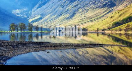 Spiegelungen von Pinien, die Buttermere an einem wunderschönen Frühlingsmorgen im Lake District National Park umgeben. Stockfoto