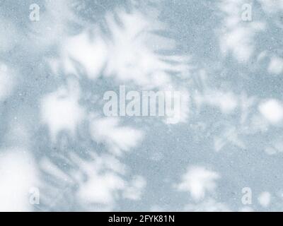 Natürliche Schatten tropischer Blätter im direkten Sonnenlicht an der strukturierten Wand, Überlagerung für Produktfotos oder Präsentationen im Sommer mit Platz für Text Stockfoto