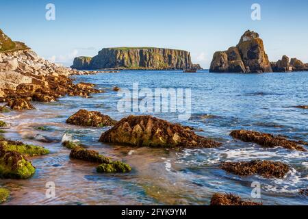 Larry Bane Head & Sheep Island an einem schönen Sommermorgen an der nördlichen küste von antrim, Nordirland. Stockfoto