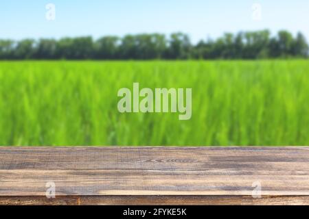 Holztischplatte auf unscharfem Feldhintergrund mit Gras Stockfoto