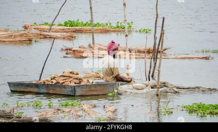 Die Bauern in Bangladesch waschen gerade Jute im Wasser. Jute wird als goldene Faser bezeichnet. Jute wird in Indien und Bangladesch weit verbreitet angebaut. Stockfoto