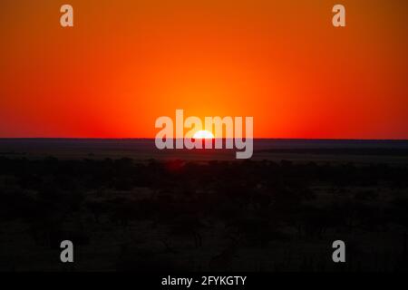 Schöner Sonnenuntergang mit intensivem roten und wolkenlosen Himmel im Etosha Nationalpark, Panoramablick von der Spitze des Aussichtspunktes im Namutoni Camp. Stockfoto