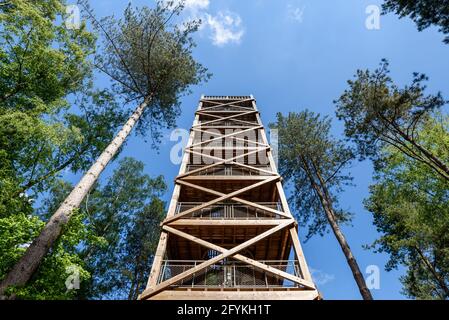 Der Aussichtsturm von General Mangin im Wald von Retz, ein historisches Denkmal, das 2017 zur Erinnerung an die Schlacht des Ersten Weltkriegs erbaut wurde. Stockfoto