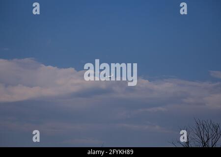 Propellerflugzeug von der Sonne gegen einen blauen Himmel beleuchtet Mit weißen Wolken und Baum - in Bewegung Stockfoto