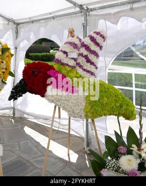 Cypress, California, USA 27. Mai 2021 EIN allgemeiner Blick auf die Atmosphäre des Humingbird Floral Arrangement im Forest Lawn Cypress Memorial Park am 27. Mai 2021 in Cypress, California, USA. Foto von Barry King/Alamy Stockfoto Stockfoto