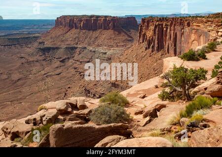 Grand View Point Overlook, Canyonlands NP, Utah, USA Stockfoto