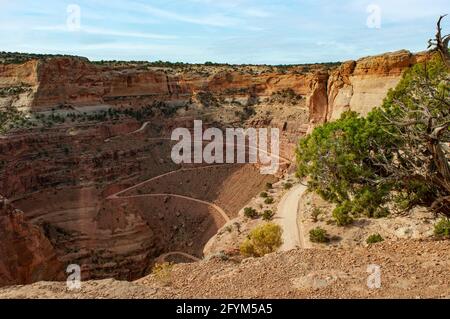 Shafer Trail übersehen, Canyonlands NP, Utah, USA Stockfoto