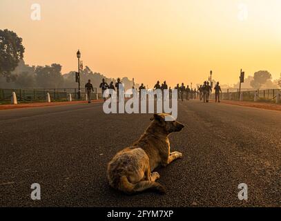 Ein Hund sitzt auf der Straße und die Polizei von delhi während ihrer Proben für den tag der indischen republik in delhi. Stockfoto