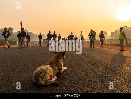 Ein Hund sitzt auf der Straße und die Polizei von delhi während ihrer Proben für den tag der indischen republik in delhi. Stockfoto