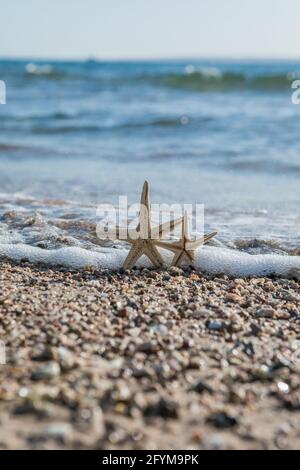 Seesterne, die an sonnigen Tagen auf goldenem Sand in der Nähe des Meeres stehen. Romantisches Sommerurlaubskonzept. Sommertapete oder Hintergrund Stockfoto