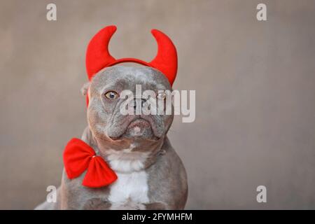 Porträt der französischen Bulldogge mit roten Teufelshörnern und Fliege vor grauem Hintergrund Stockfoto