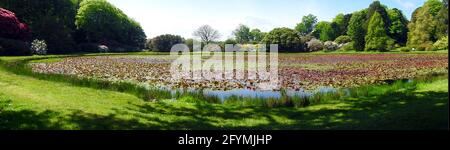 Castle Kennedy Gardens & Gardens, Dumfries & Galloway, Schottland im Jahr 2021 - Panoramablick auf den runden Teich und den Garten Stockfoto