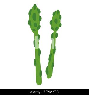 Spargel grüne Speere pflanzliches, gesundes Bio-Ernährungsprodukt. Vektor Cartoon flach trendy Illustration Hand gezeichnet isoliert Skizze Stock Vektor