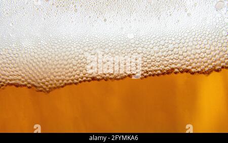 Bierschaum vergrößert, Bierschaum aus der Nähe, leichte Bierstruktur Stockfoto