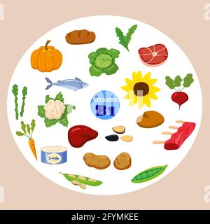 Set von Vitamin C Herkunft natürlichen Quellen. Gesunde Tagebuchnahrung, Thiamin, Obst, Gemüse, Fisch, Nüsse, Fleisch, Brot. Bio-Diät-Produkte Stock Vektor