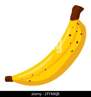 Bananenfrucht, gesunde Bio-Ernährung Produkt ganz. Vektor Cartoon flach trendige Illustration Hand gezeichnet isoliert Stock Vektor