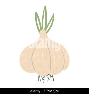 Garlicl, natürliches, gesundes Bio-Ernährungsprodukt. Vektor Doodle Cartoon flach trendige Illustration Hand gezeichnet isoliert Stock Vektor