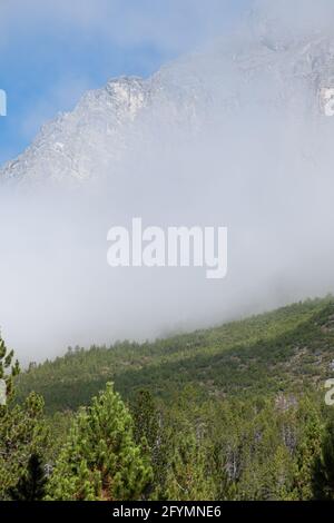 Fuornpass, Schweiz - 10. September 2020: Der Schweizerische Nationalpark liegt in den westlichen rätischen Alpen, in der Ostschweiz. Stockfoto