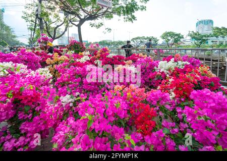 Hektik des Kaufens von Blumen auf Blumenmarkt, Einheimische kaufen Blumen für Dekorationszwecke das Haus am Mondneujahr in Ho Chi Minh City, Vietnam. Stockfoto