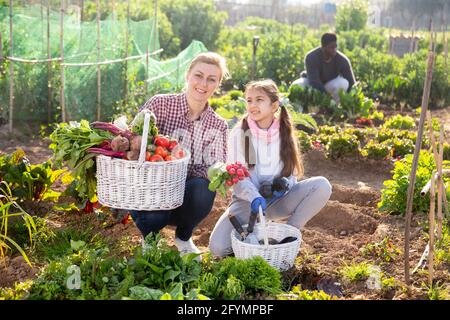 Mutter und ihre Tochter, Familie von professionellen Gärtnern, die an einem warmen Frühlingstag Gemüse- und Grünernte auf einem Bauernhof halten Stockfoto