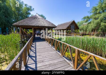 Holzsteg im Besucherzentrum, Naturpark Kopački rit, Kroatien Stockfoto