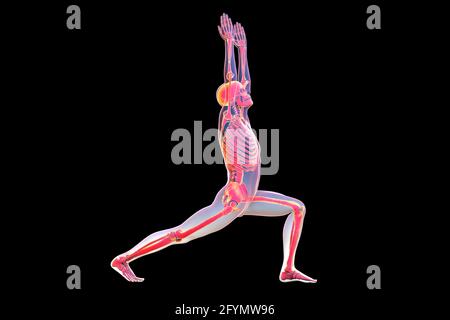 Skelett in Krieger 1 Yoga-Pose, Illustration Stockfoto