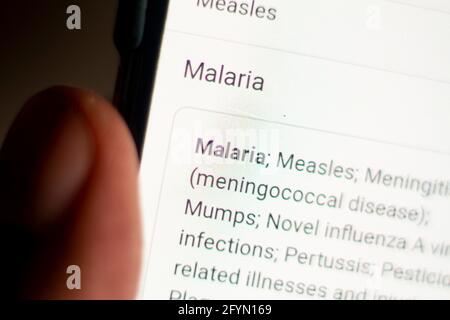 Malaria News am Telefon.Handy in den Händen. Selektiver Fokus und chromatische Aberrationseffekte. Stockfoto