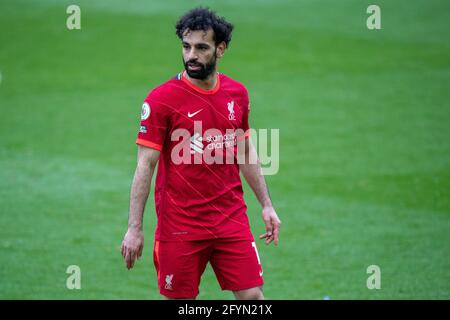 LIVERPOOL, ENGLAND - MAI 23: Mohamed Salah von Liverpool während des Premier League-Spiels zwischen Liverpool und Crystal Palace in Anfield Stockfoto