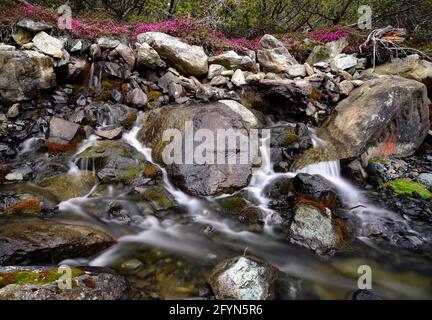 Ein Bach im Herzen der Alpen schafft eine Wunderschöner Wasserfall Stockfoto