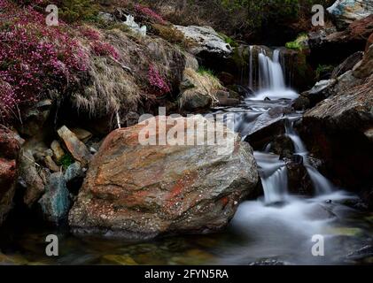 Ein Bach im Herzen der Alpen schafft eine Wunderschöner Wasserfall Stockfoto