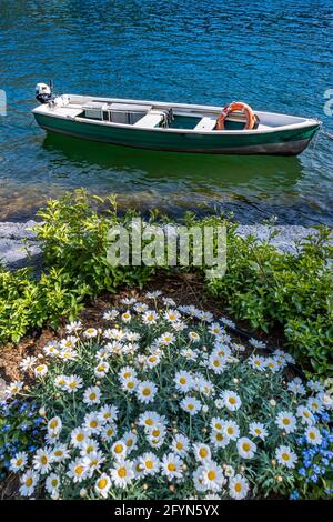 Ein grünes Fischerboot am Ufer des Schweizer Sees Lugano in Morcote im Tessin Stockfoto