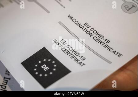 Berlin, Deutschland. Mai 2021. Auf einem Dokument, das zum Digitalen Impfzertifikat gehört, steht „EU Covid-19 Impfzertifikat“ in englischer und deutscher Sprache. In Berlin beginnt ein Feldtest des digitalen Impfzertifikats. Quelle: Christophe Gateau/dpa/Alamy Live News Stockfoto