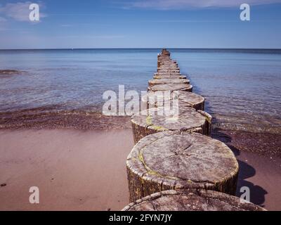 Groyne an der Ostsee in Deutschland bei Kühlungsborn Stockfoto