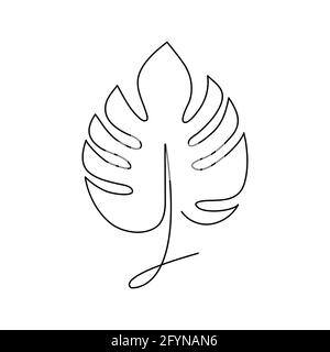 Monstera mit Blattlinie. Kontinuierliche einzeilige Kunst Zeichnung tropische Palme. Vektorgrafik Stock Vektor