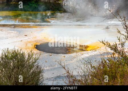 Geothermie-Feld mit Geysir im Dorf Whakarewarewa, Nordinsel Neuseelands Stockfoto