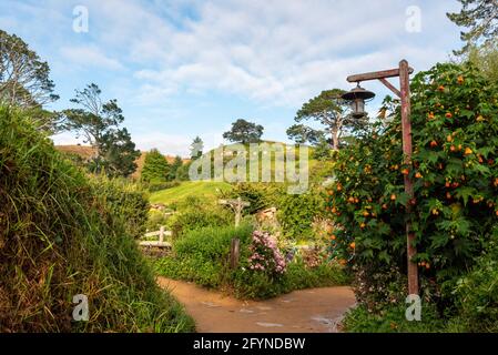 Berühmtes Hobbiton Dorf in Matamata aus den Filmen der Hobbit und der Herr der Ringe, Neuseeland Stockfoto